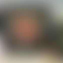 Stippled Stencils - Elegant Rose