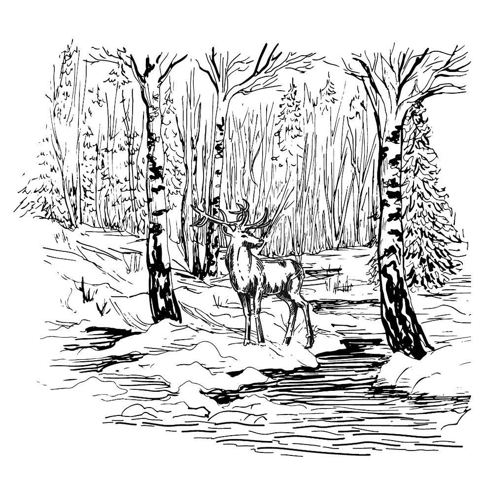 Deer River - Two Jays Stamp Co. - Clear Stamp