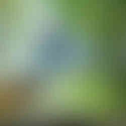 A mountain biker flies through the air while taking a drop from the Danimal trail on the Copper Harbor Trail System.