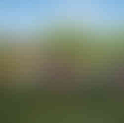 A large group of nine little kids with helmets on raise their hands while stationary on their bikes.