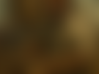 Still I Build: A Reflection from the Valley