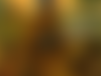 The River That Remembers