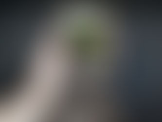 30-Day Social Media Detox