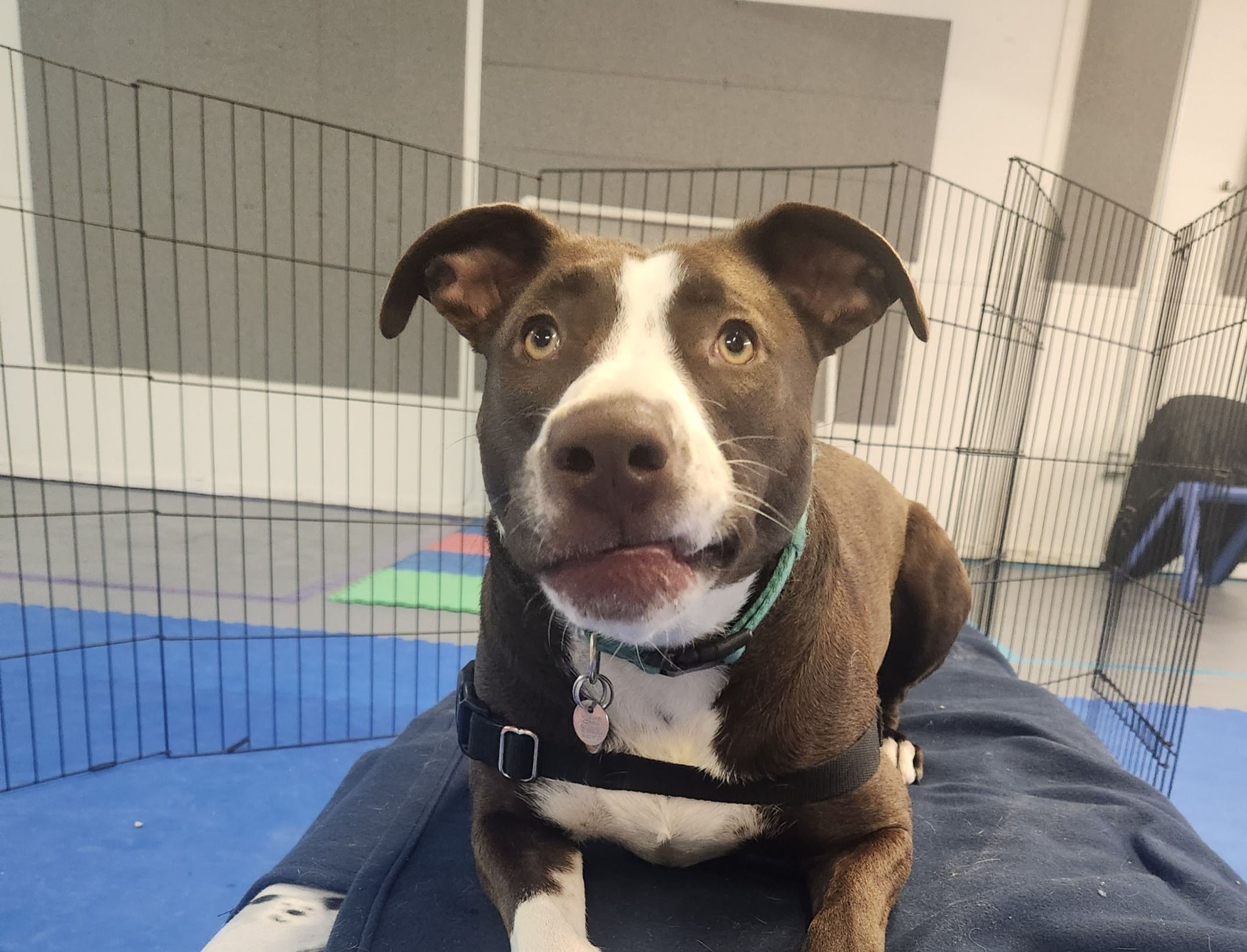 Reactivity Reimagined at KK9