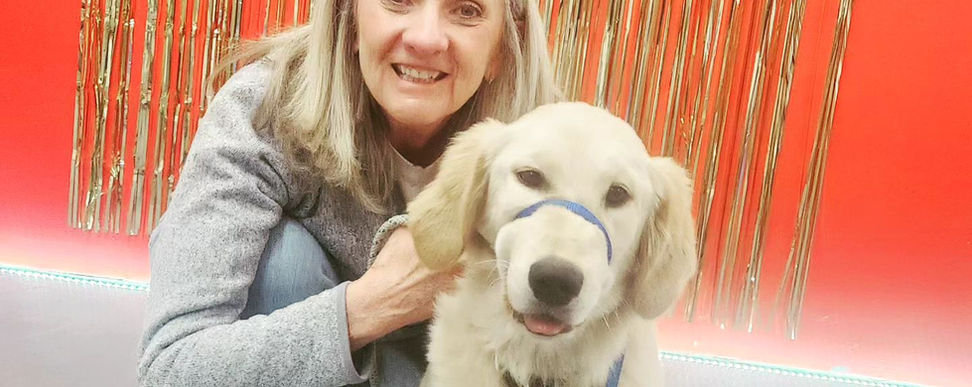 dog training colorado loveland client picture 1.jpeg