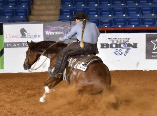 Sparkville - First Cow Horse Show, Wild Rag, Ft Worth, TX 