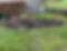 IMG_4533.JPEG