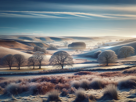 Gardening in February: Embracing the Northumbrian Winter