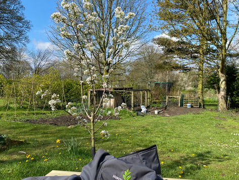 Gardening in the Tyne Valley in March: Planning for Success