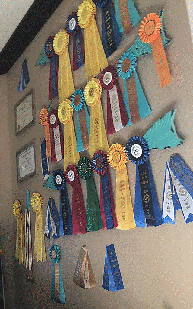 Ribbons 2