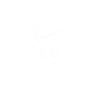 Conductor's hands holding baton: orchestral leadership