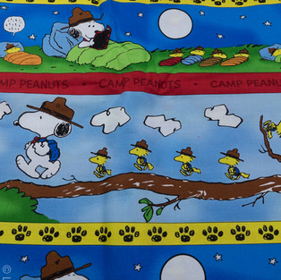 Camp Snoopy (3 of 9).jpg