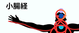 小腸経.png