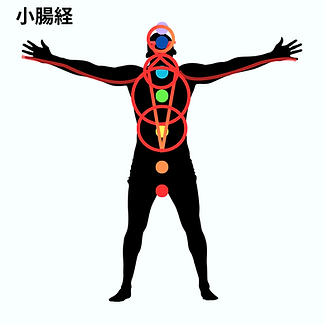 小腸経.png