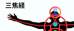 三焦経.png