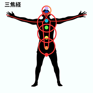 三焦経.png