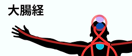 大腸経.png
