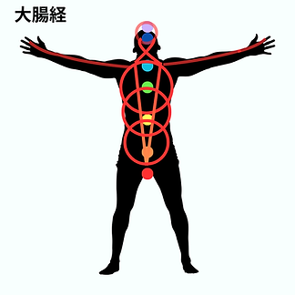 大腸経.png