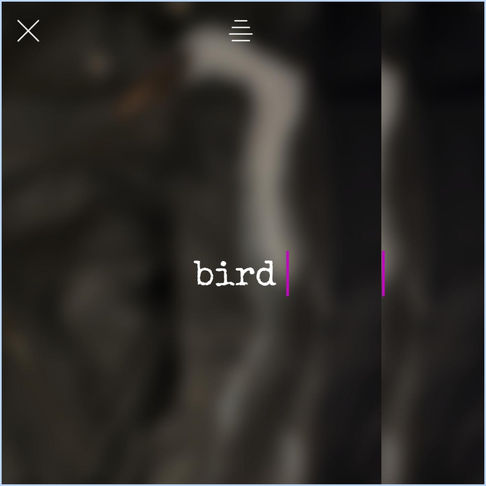 New Jacket ⏳️wing?