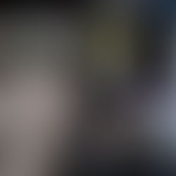 Kingdom (team) doc 🥕