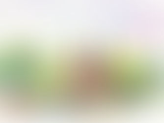 自主美術講座メンバー オランダ・スケッチ展〈運河の国を訪ねて〉