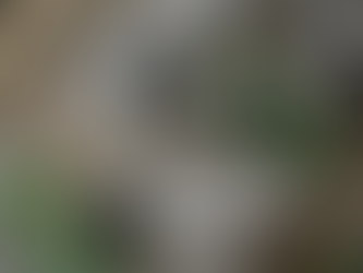 ポルト・ボナー 中田多恵子 2024 幸運を招く天然石コレクション