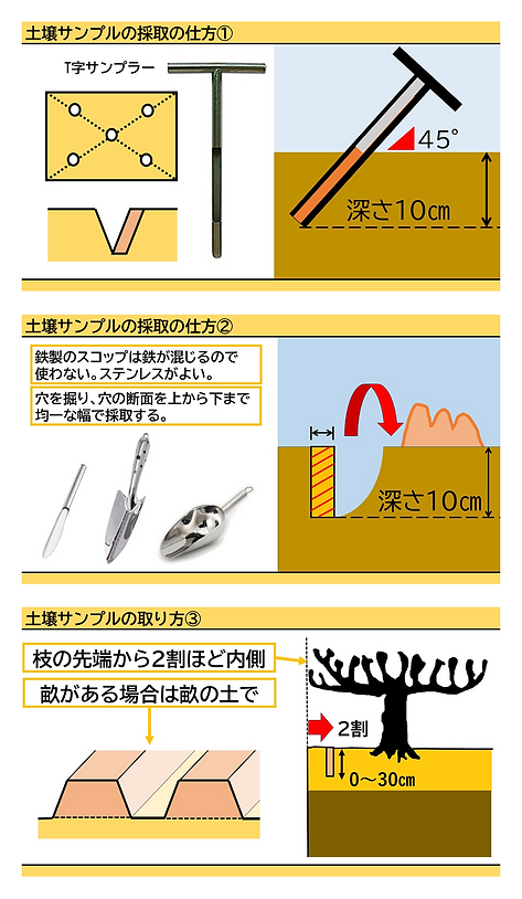 Group 1000007550.png