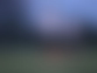 Catching up with Kaine