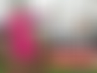 Dolling praises invaluable Whiting 