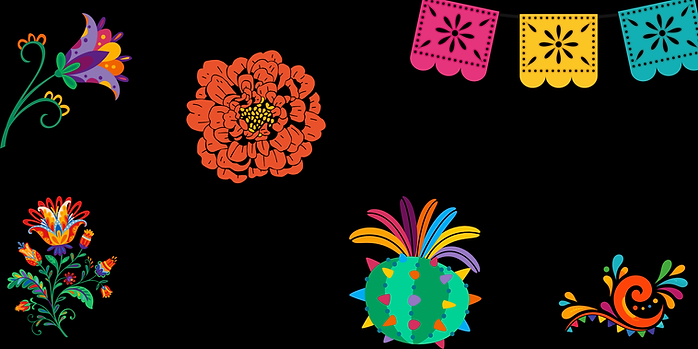 Copy of Frida Performance Banner for webpage.png