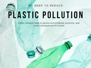 Tackling Plastic Pollution: Workplace's Innovative Approach to Environmental Stewardship