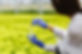 researcher-takes-probe-greenery-round-bottom-flask.jpg