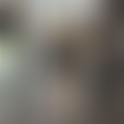 Stephen Bradley, Member Spotlight