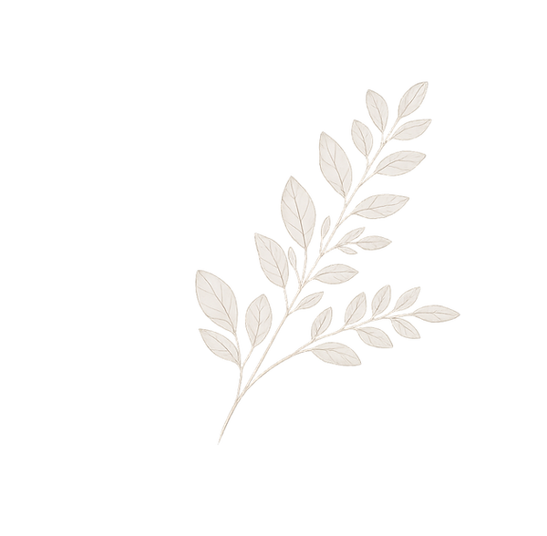 transparent leaf design