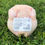 Thumbnail: Pasture Raised Whole Chicken