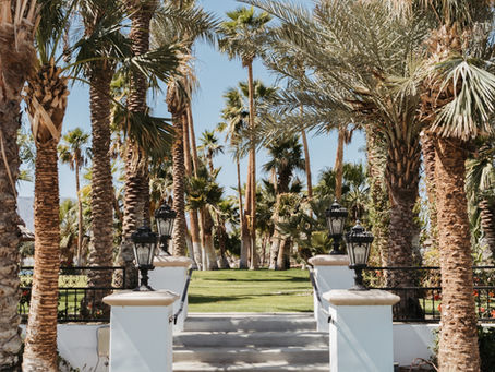 DESERT HOUSE x JENNI KAYNE