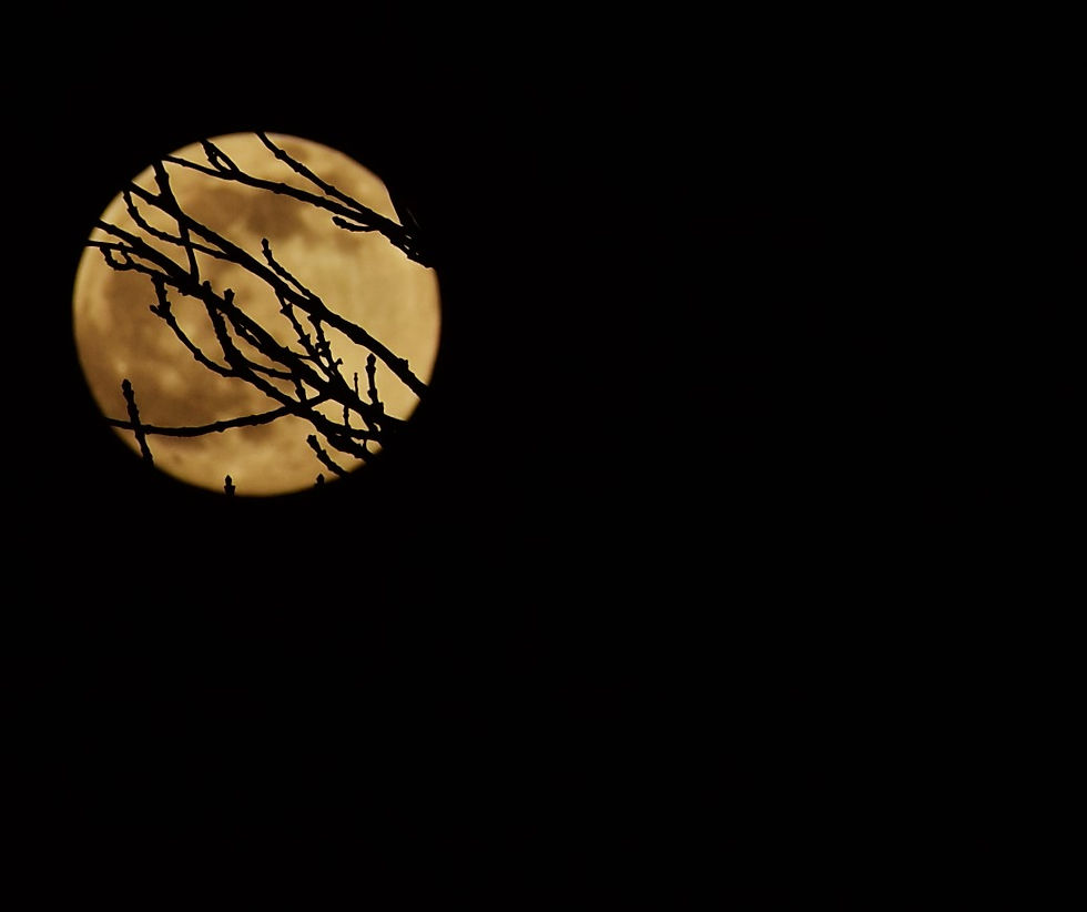Full Moon...