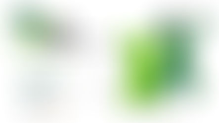 Acto Conmemorativo del Vigésimo Aniversario de GIRA: 7 de noviembre de 2025