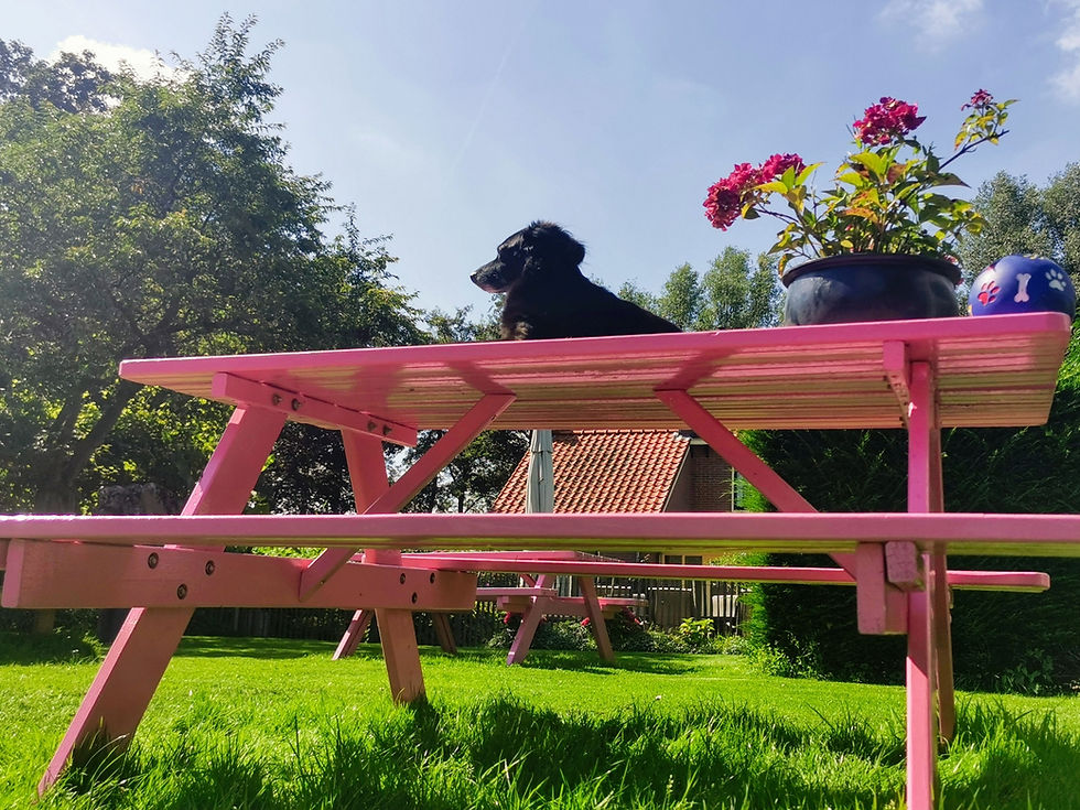 Op fietsavontuur in eigen land - week 16 en een half