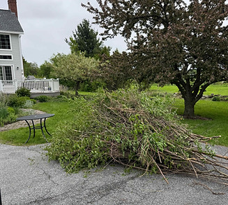 Brush pile staged for yard waste removal in Shelburne Vermont