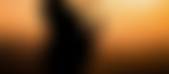 Um cenário perfeito, em homenagem a Lucca