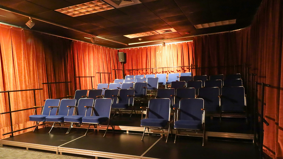 TriLingua Cinema is a 36-seat micro cinema located in the basement of a historic Carnegie Library building, now home to the East Side Freedom Library. Photo: Becca Gilbuena