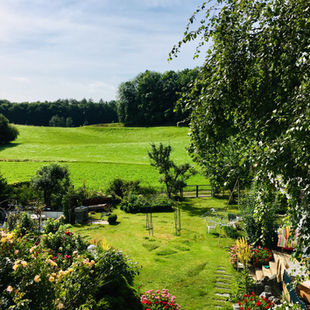 Der große Gemeinschaftsgarten
