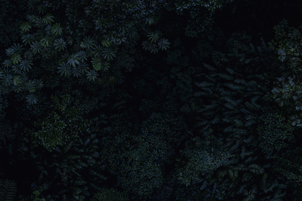 AEnB2Urdf6-kuAWmrq-bXW2lvGfX-6E-htWHTO0I