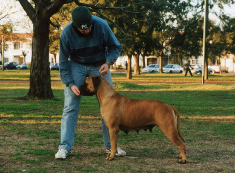 Gilda entrenando 2003