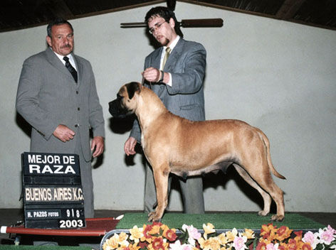 Raza Gil BsAsKC 2003