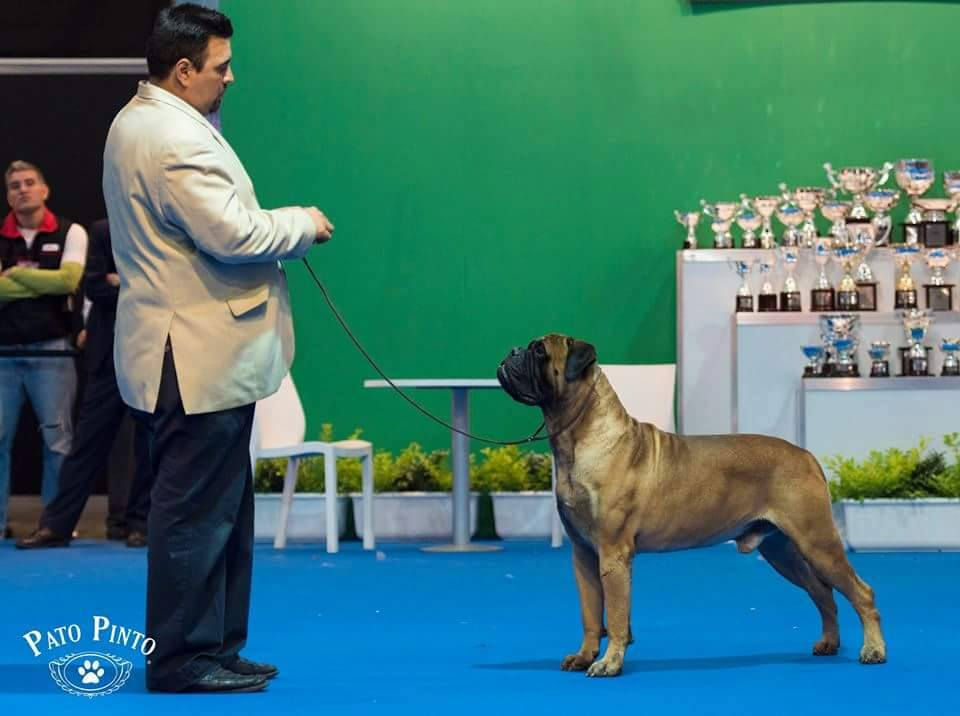 Ace en Rural 2015