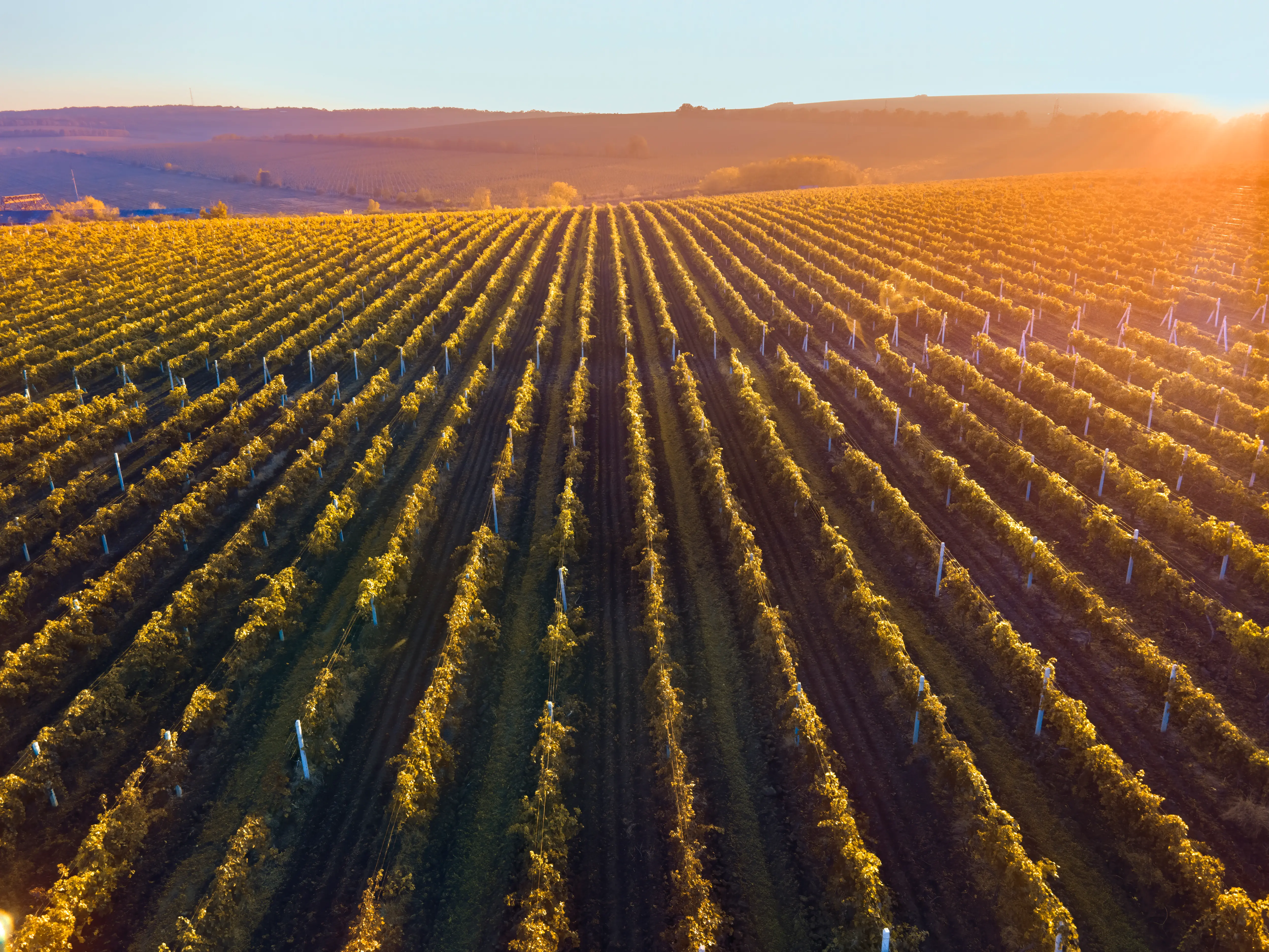 La Rioja