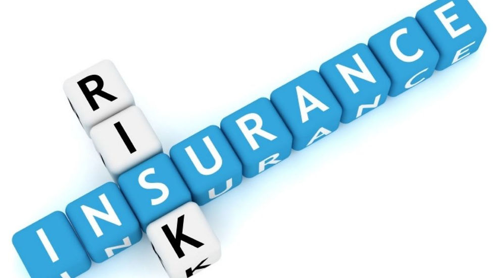 Risk and Insurance