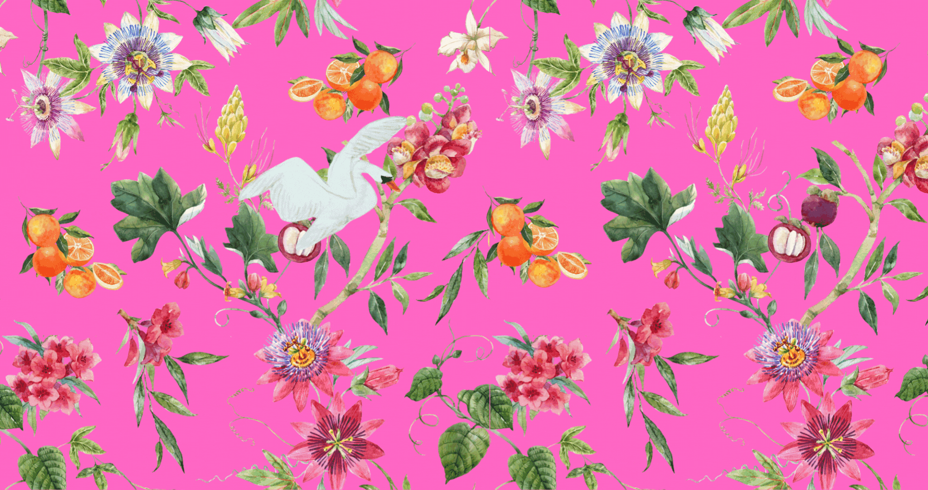 Cópia de Animação site (36 x 19 cm).gif